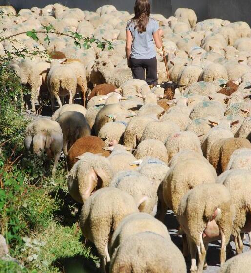 مبيت وإفطار La Ferme De Beauté