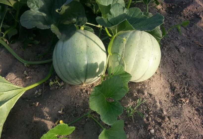 مبيت وإفطار La Grange