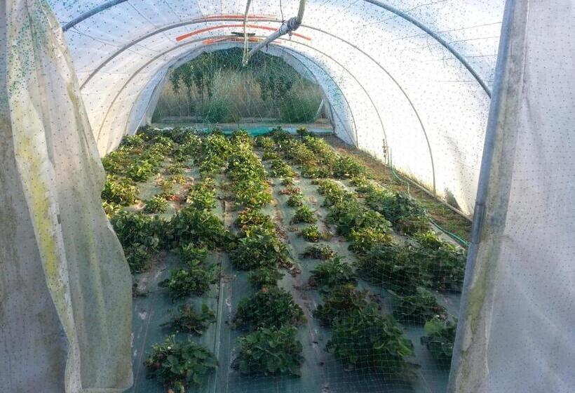 مبيت وإفطار La Grange