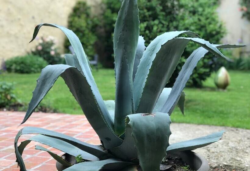 Bed and Breakfast La Maison Jeanne D Arc