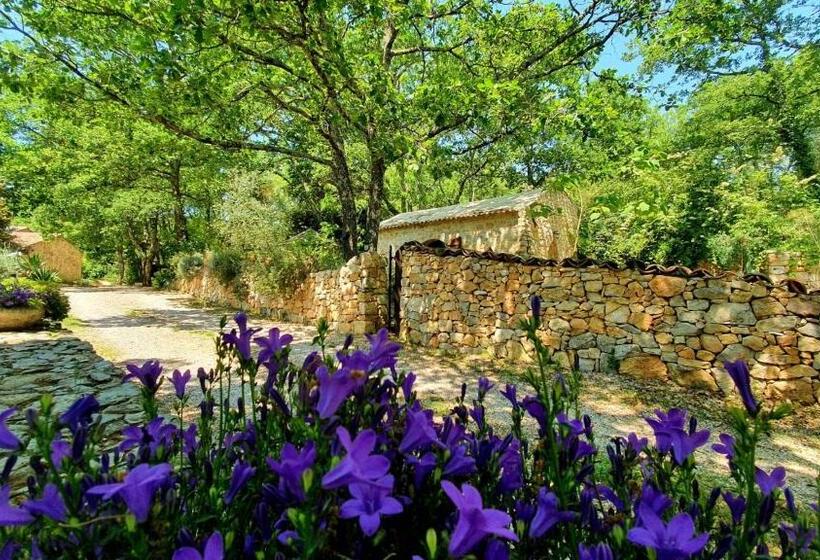 צימר Le Donjon Des Combes Et Son Spa