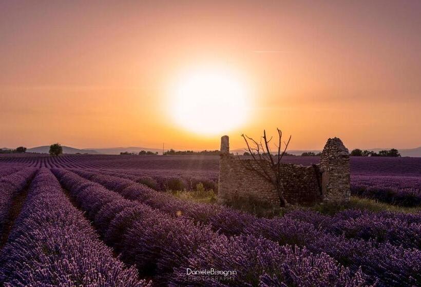 住宿加早餐  Les Terrasses De Valensole