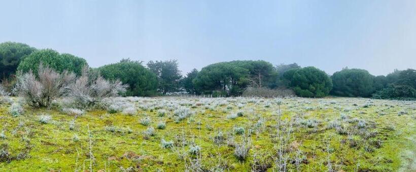 Bed and Breakfast Maison Face Au Soleil