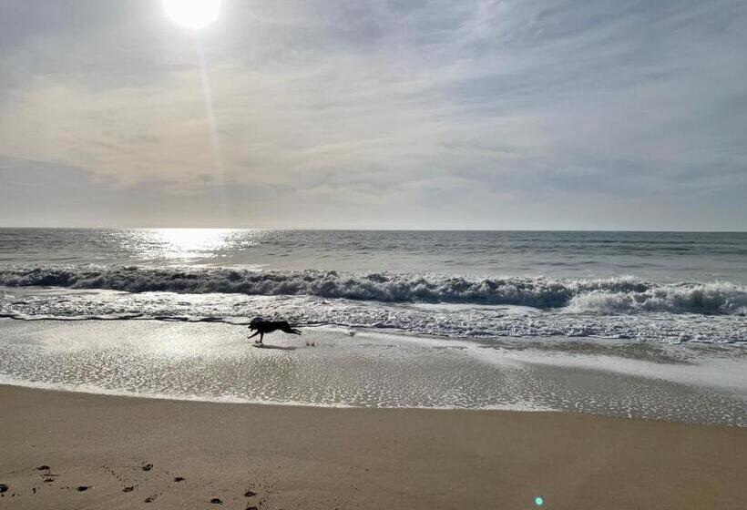 Bed and Breakfast Maison Face Au Soleil