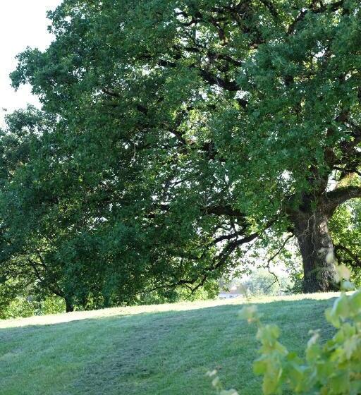 ベッドアンドブレックファースト Manoir Saint Clair