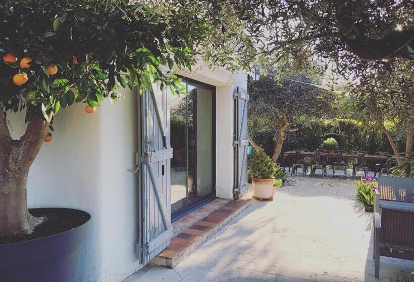 Bed and Breakfast Mas Saint Antoine Chambres D Hôtes