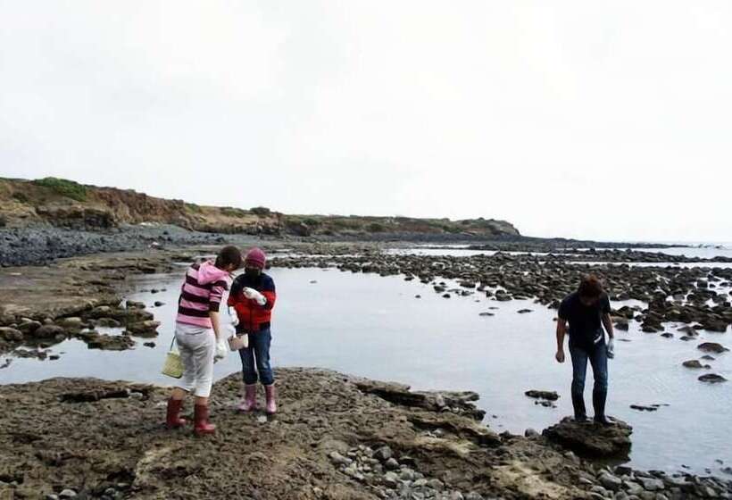 تختخواب و صبحانه The Domed Tile Bb