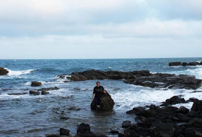 تختخواب و صبحانه The Domed Tile Bb