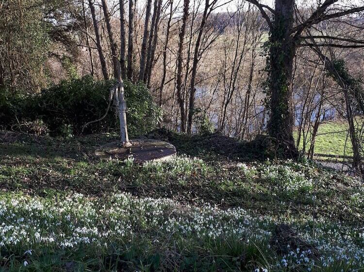 ベッドアンドブレックファースト Villa Du Cerf Thibault