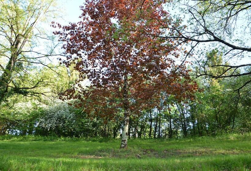 ベッドアンドブレックファースト Villa Du Cerf Thibault