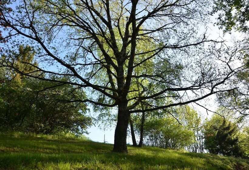 ベッドアンドブレックファースト Villa Du Cerf Thibault