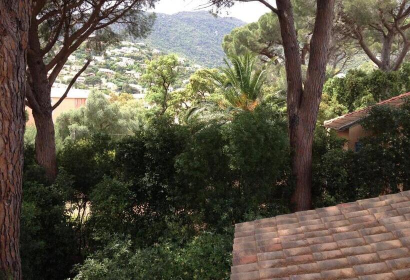 Bed and Breakfast Villa La Clarté