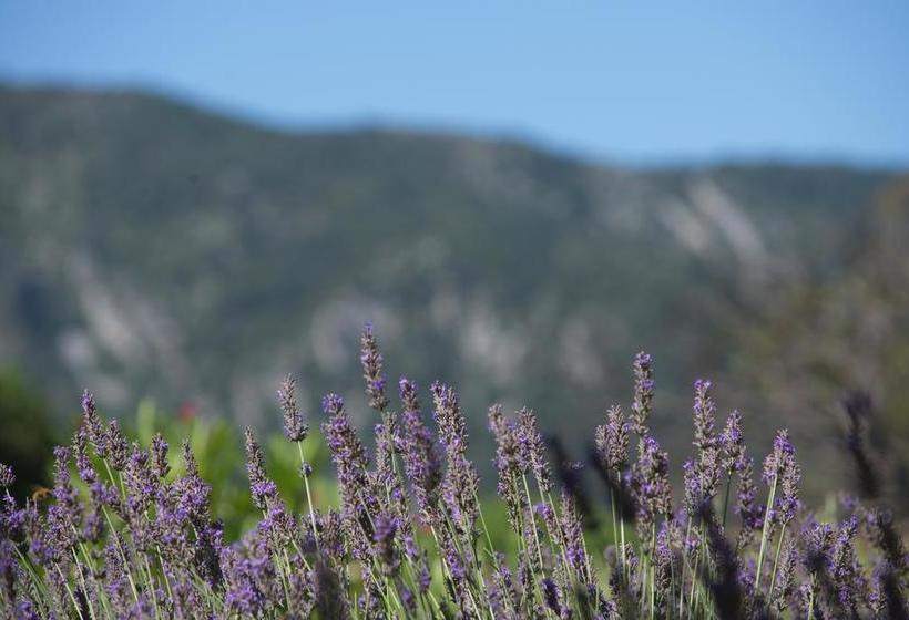 Bed & Breakfast Nulle Part Ailleurs