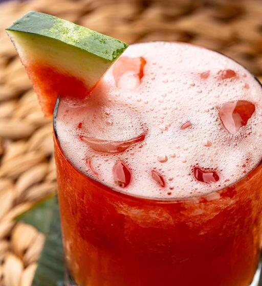 مسافرخانه Dreamer Palomino