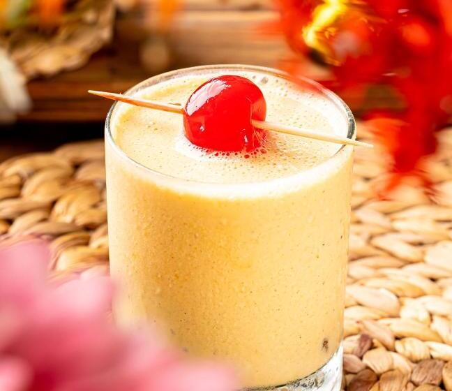 Хостел Dreamer Palomino