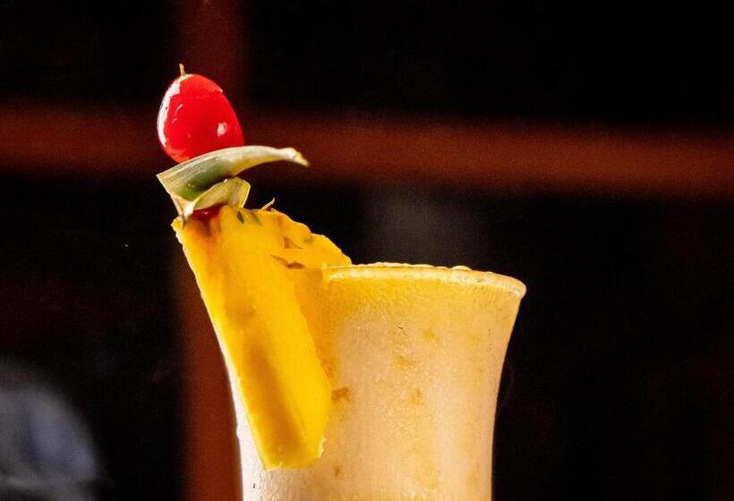 Хостел Dreamer Palomino