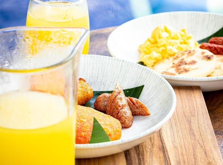 Хостел Dreamer Palomino