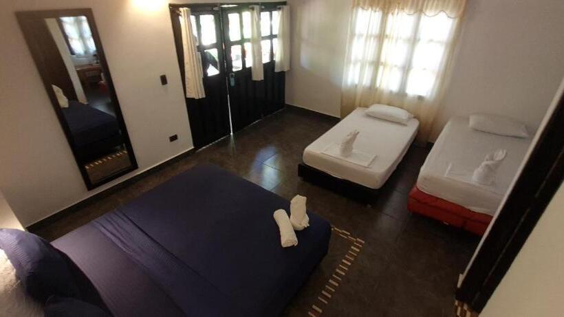 مسافرخانه Dreamer Palomino