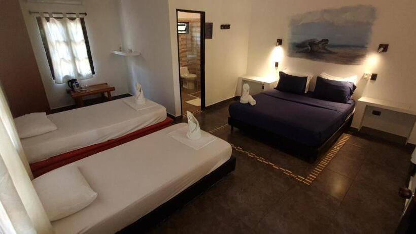 Хостел Dreamer Palomino