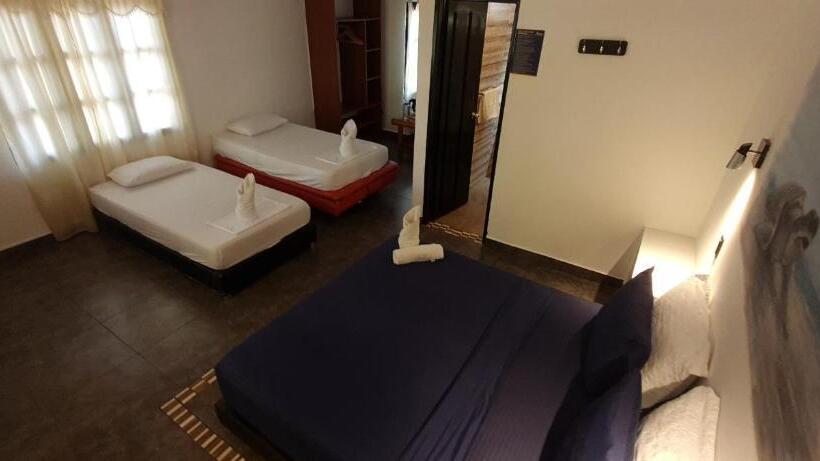 Хостел Dreamer Palomino