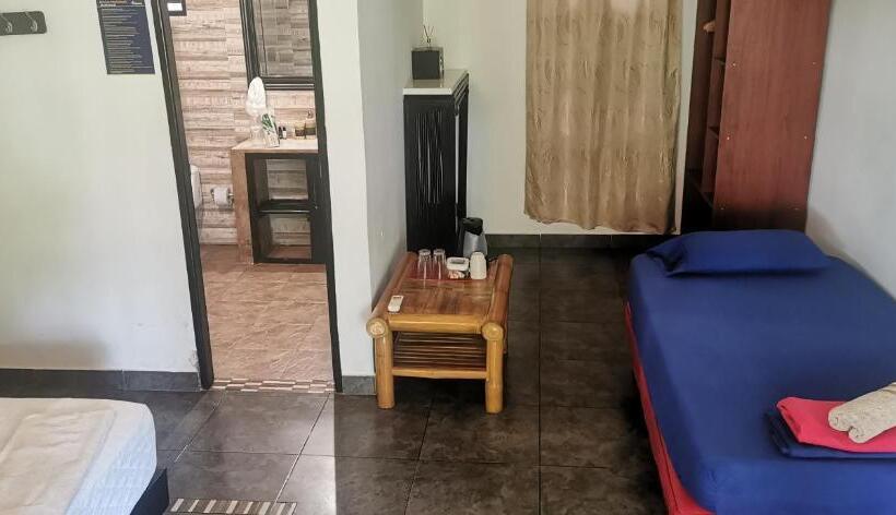 Хостел Dreamer Palomino