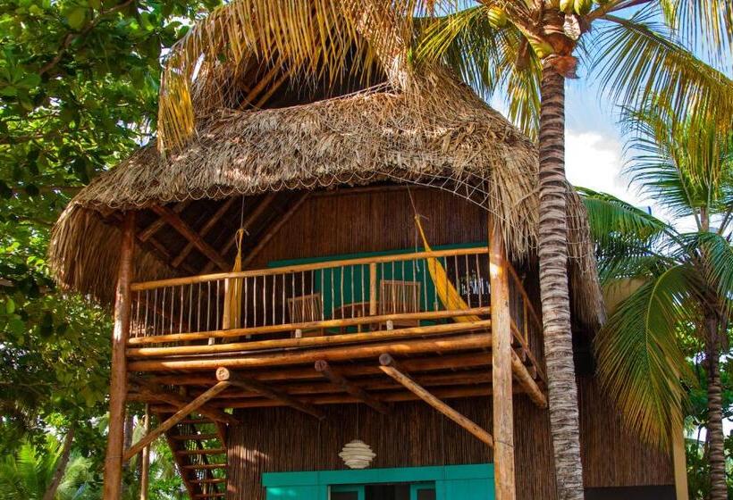 هتل Aite Eco Resort