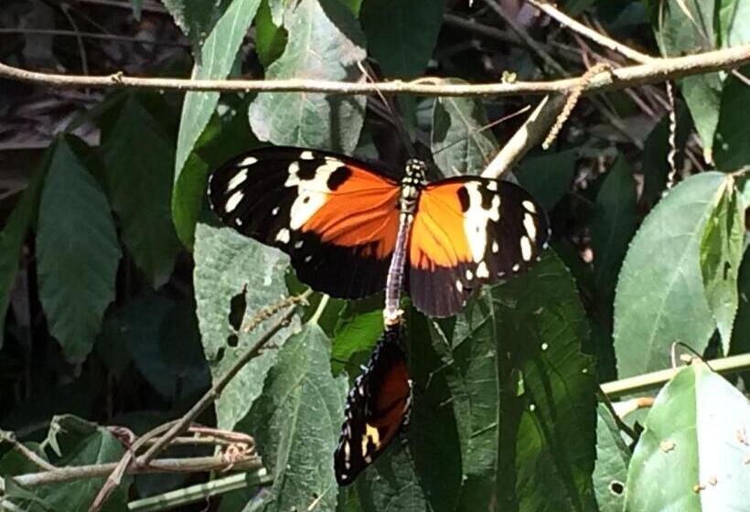 هتل Aite Eco Resort