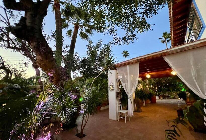 هتل Altea Paradise 1917   Adults Only