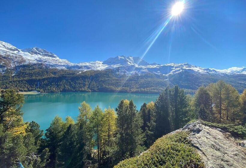 酒店 Arsa Lodge Silvaplana