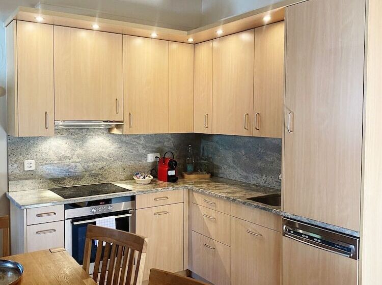 酒店 Arsa Lodge Silvaplana