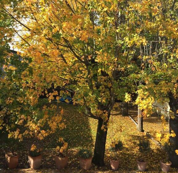 בית מלון כפרי Bull It