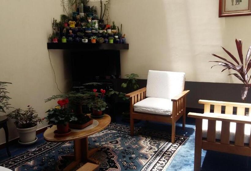 호텔 Catalina Real