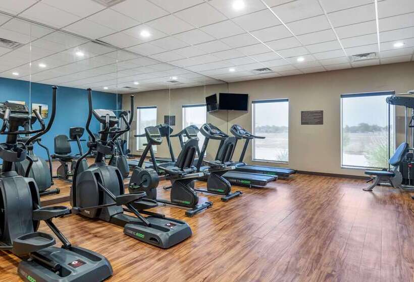 Отель Comfort Suites University