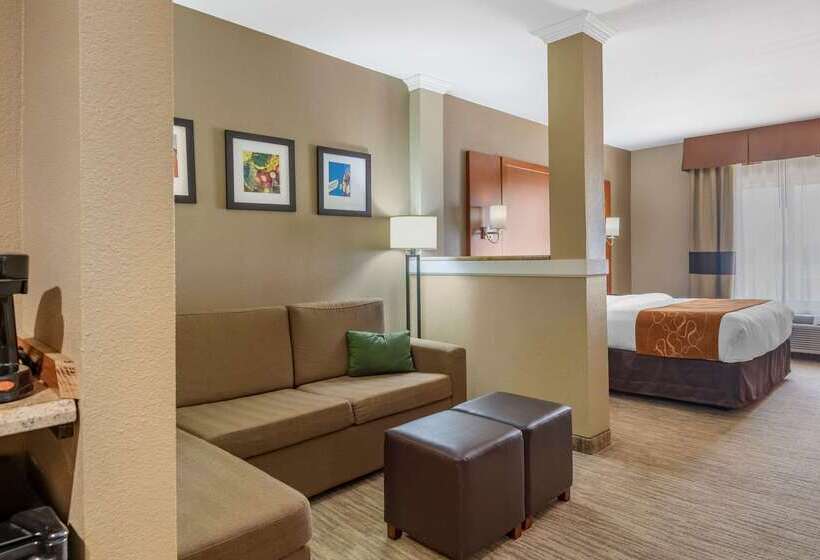 Отель Comfort Suites University