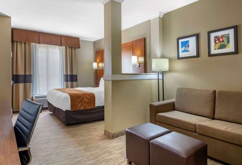 Отель Comfort Suites University