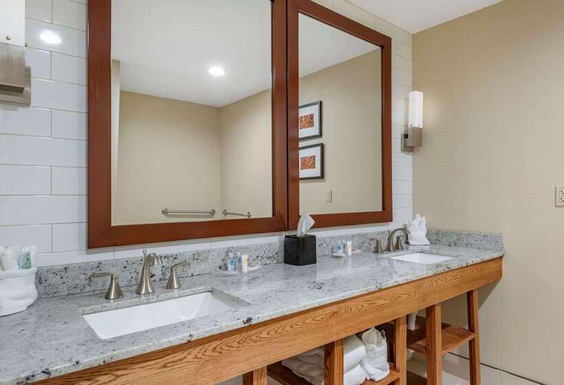 Отель Comfort Suites University