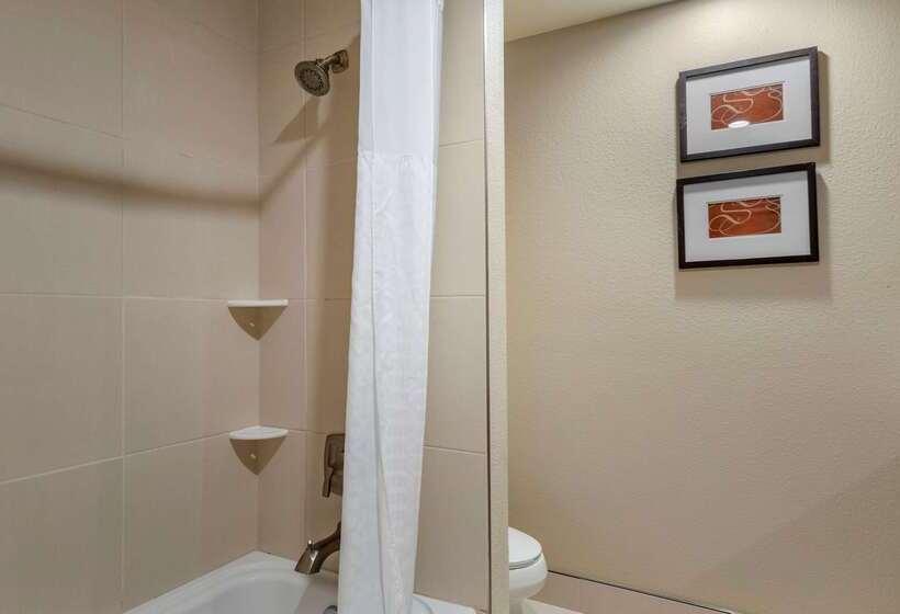 Отель Comfort Suites University