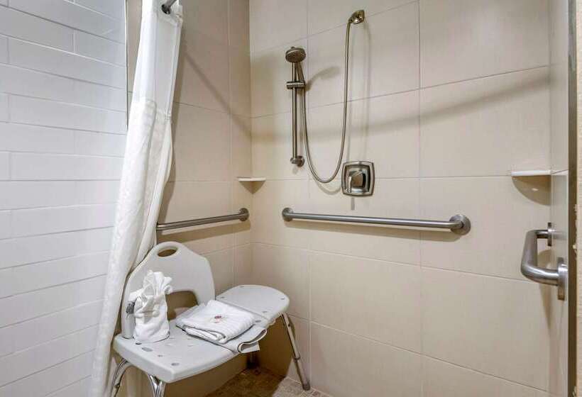 فندق Comfort Suites University