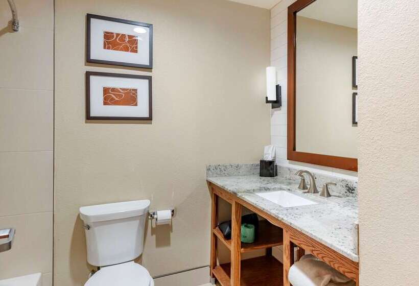 Отель Comfort Suites University