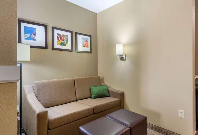 Отель Comfort Suites University