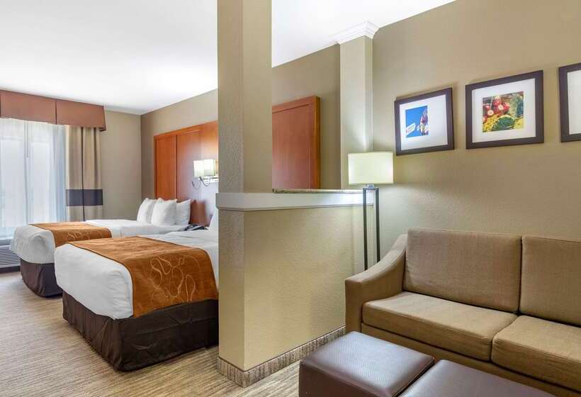 فندق Comfort Suites University