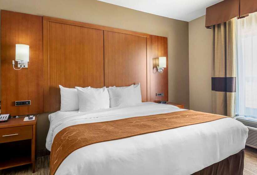 Отель Comfort Suites University