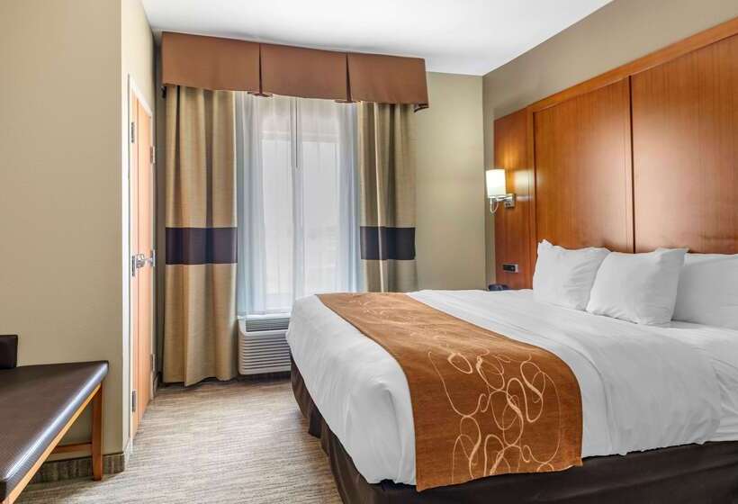 Отель Comfort Suites University