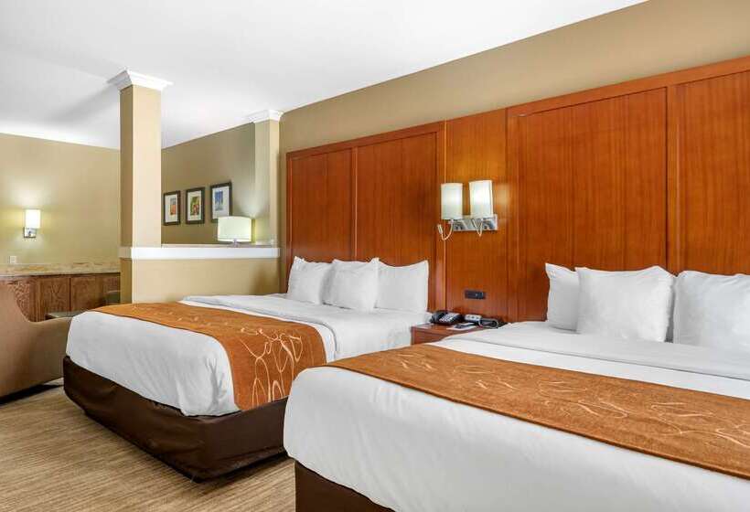 Отель Comfort Suites University