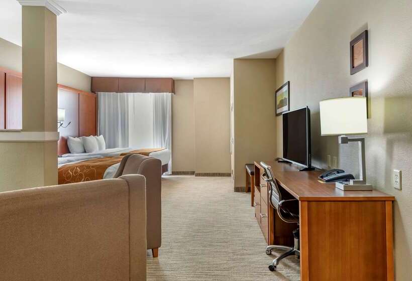 Отель Comfort Suites University