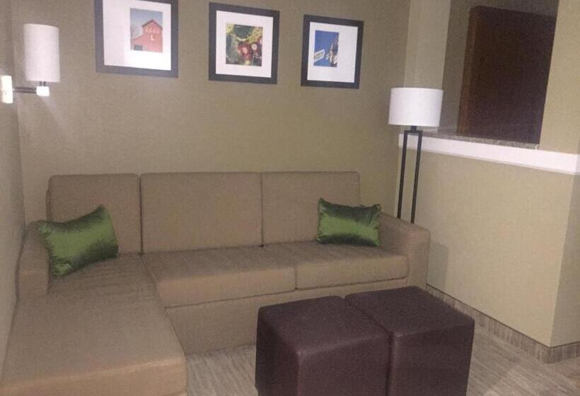 Отель Comfort Suites University