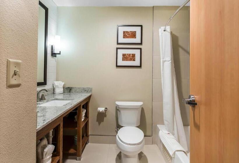 Отель Comfort Suites University