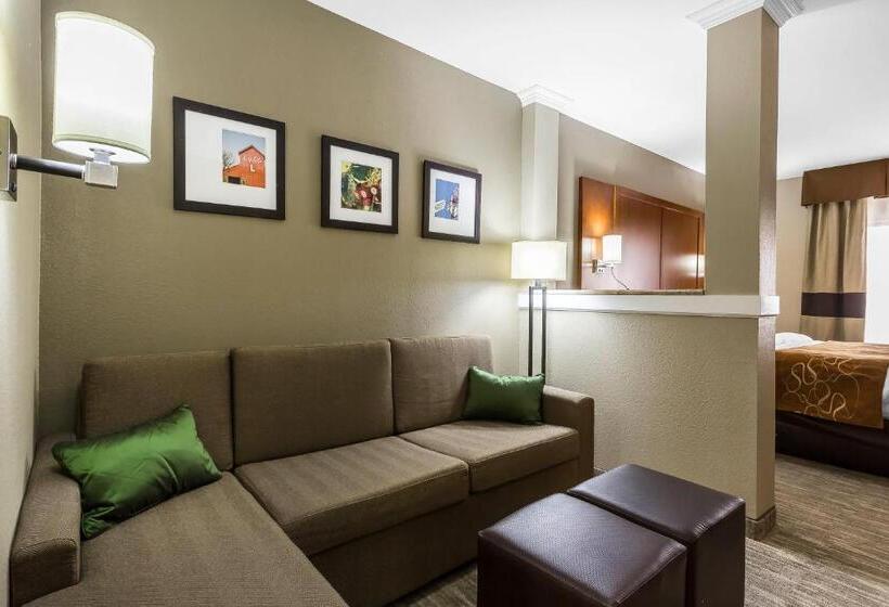 Отель Comfort Suites University