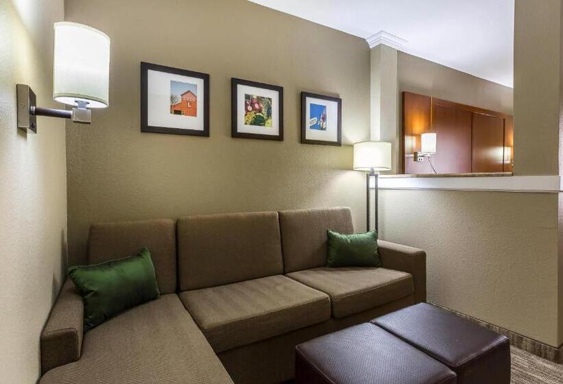 Отель Comfort Suites University