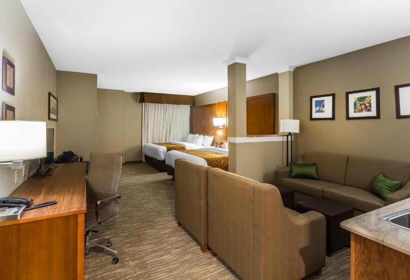 Отель Comfort Suites University